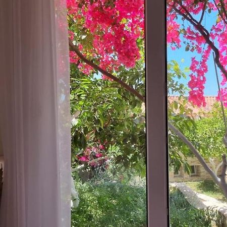Vila 15 Bougainville Sarandë エクステリア 写真