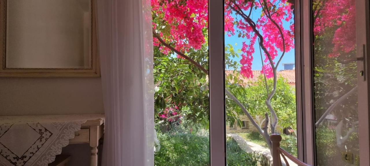Vila 15 Bougainville Sarandë エクステリア 写真
